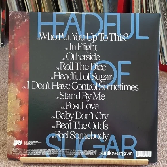 Sunflower Bean - Headful of Sugar Vinyl Record - Picture 2 of 4